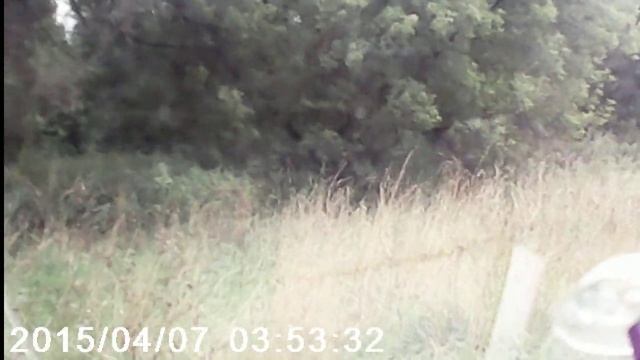 Hover 2.8 dizel смотреть онлайн