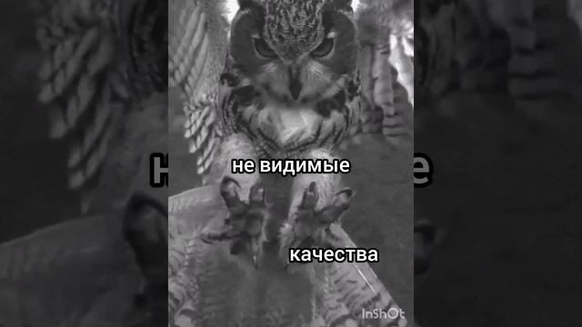 4 февраля 2024 г. смотреть онлайн