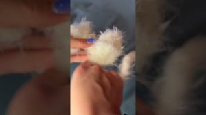 Инструкция по сборочке от BALORI для артикула: 340956335