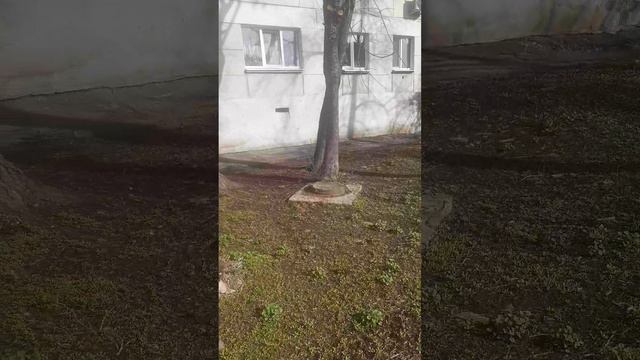20250408_091916 смотреть онлайн