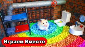 Лабиринт для Хомяка 🐹 Построили СУПЕР СЛОЖНЫЙ лабиринт для Умного Хомяка ! Выбираемся вместе !