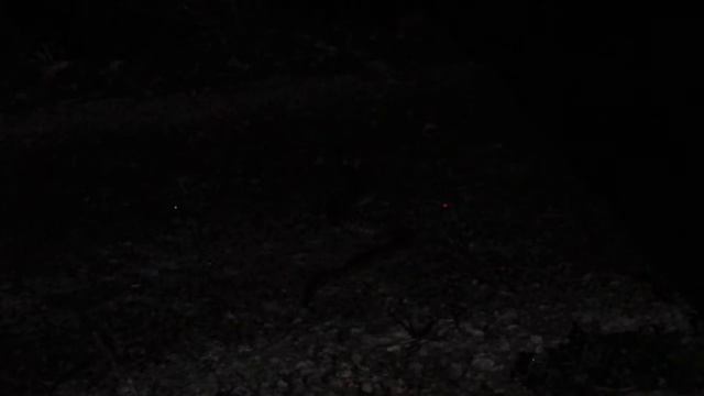 Japan 2014: Taketomi habu pit viper смотреть онлайн