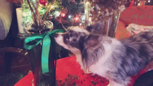 Новогодний декор комнаты своими руками + розыгрыш 🎇✨ смотреть онлайн