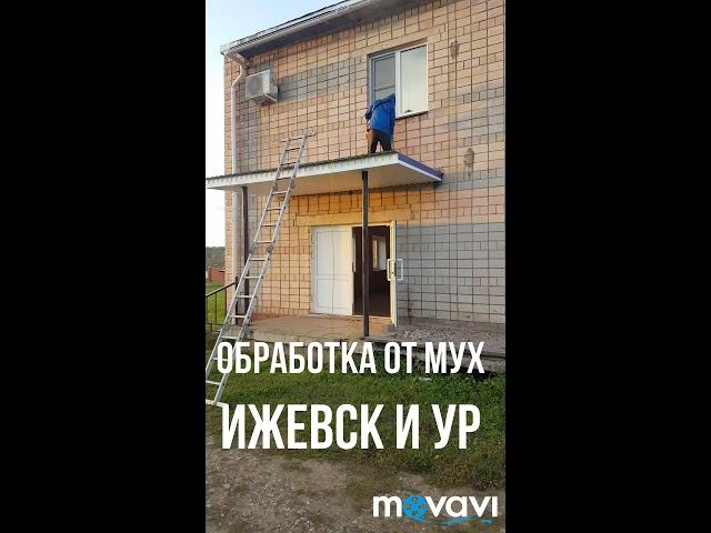 Обработка от мух и комаров!