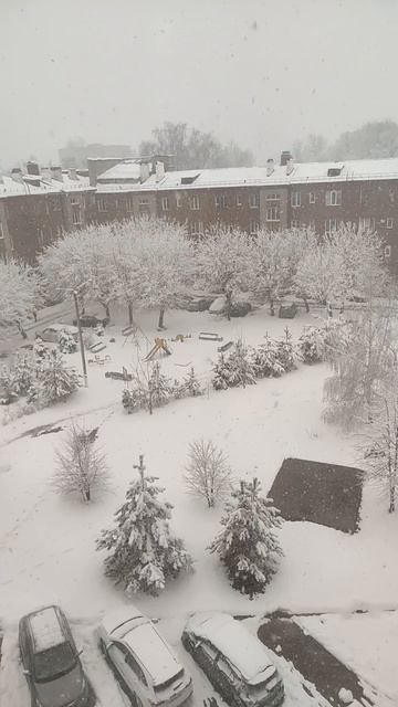 Весенний снегопад в АПРЕЛЕ 2025 смотреть онлайн