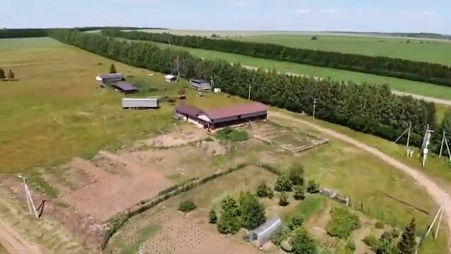 videoplayback смотреть онлайн