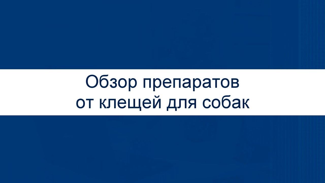 Обзор препаратов от клещей для собак смотреть онлайн