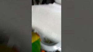 Как какать в туалете Тутор 1 видео Леончика!!!!!
