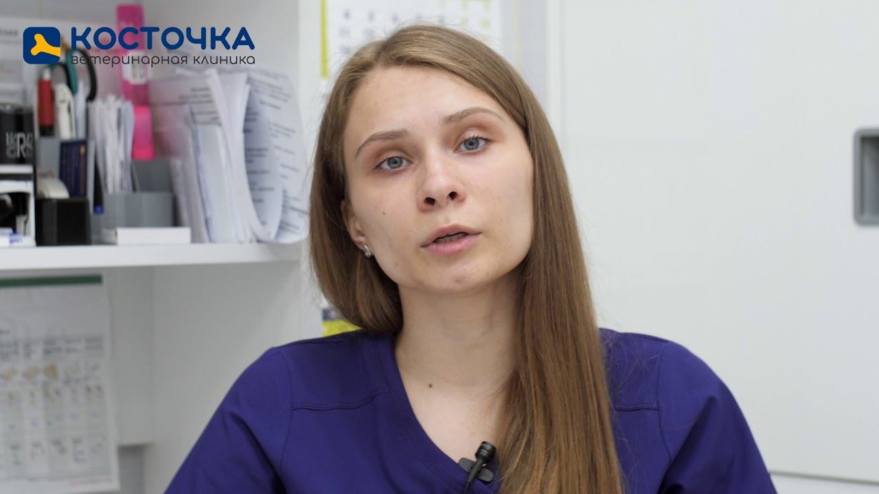 Почему кошка чихает? смотреть онлайн