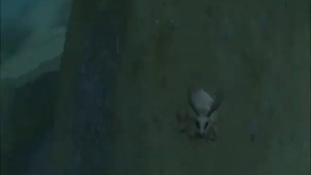 Playing with world of warcraft vanity pet - Brown Rabbit смотреть онлайн