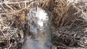 Весенние ручьи