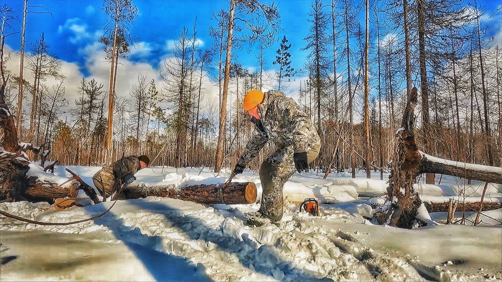 ПО ТАЙГЕ как ПО АСФАЛЬТУ. СНЕЖНЫЙ НАСТ. ИЗБА В ЛЕСУ. СБОР ВАЛЕЖНИКА НА КАРАКАТЕ. смотреть онлайн