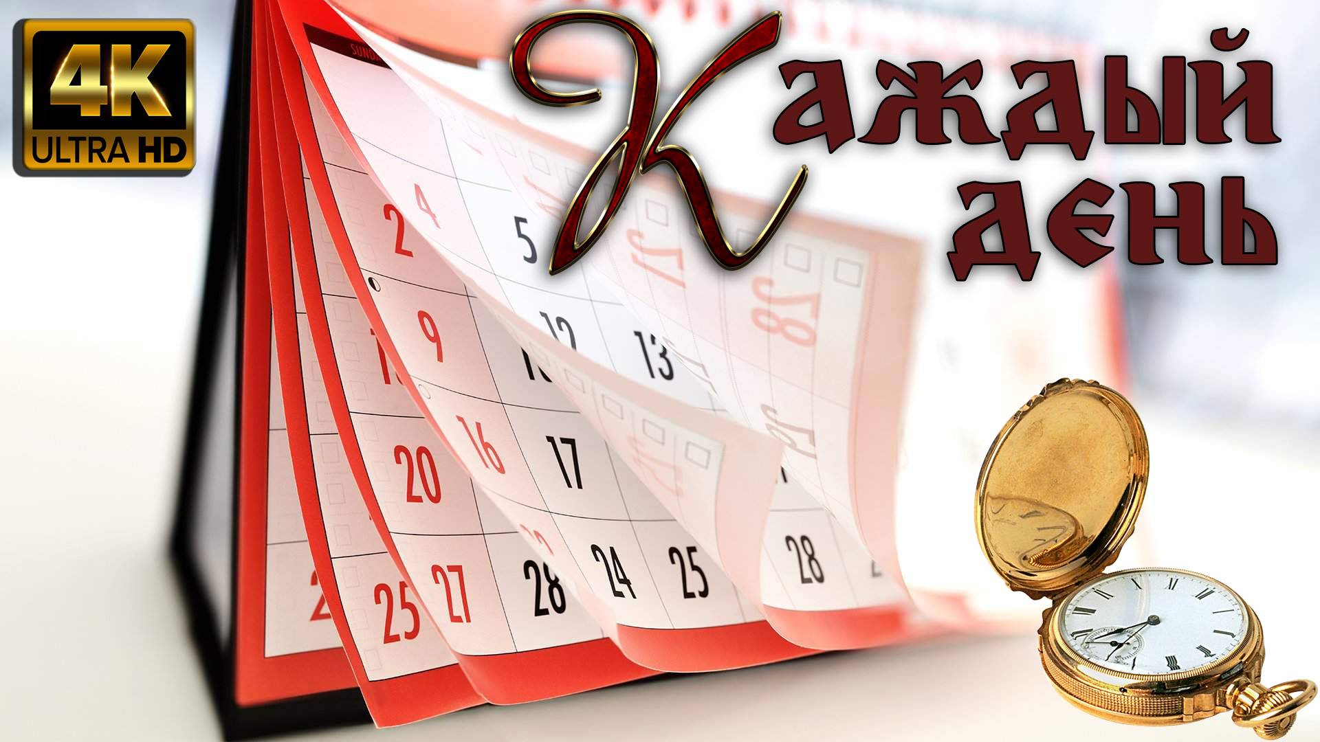 Каждый день смотреть онлайн