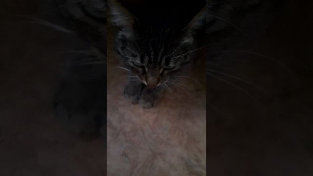 20250407_185914 смотреть онлайн