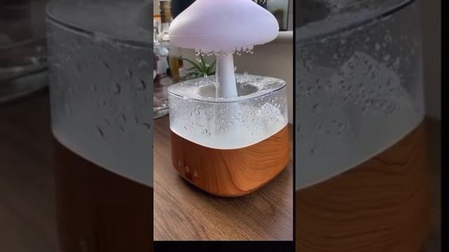 Rain Cloud humidifier rating and review смотреть онлайн