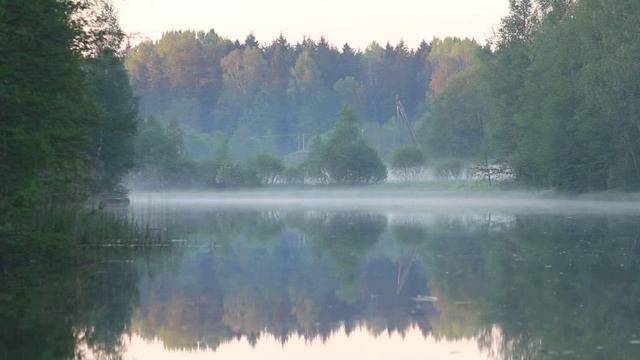 Расслабляющее пение птиц на берегу реки.