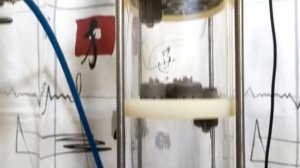 Тарельчатая колонна!! Как правильно работать...