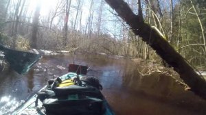 Сплав на сап борде по реке Чёрная в Лен области.