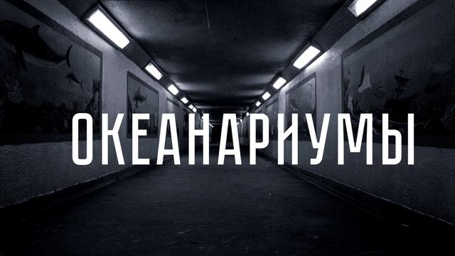 Анимация текста смотреть онлайн
