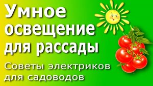 Умное освещение для рассады томатов и перцев. Умная розетка для садовода и огородника.