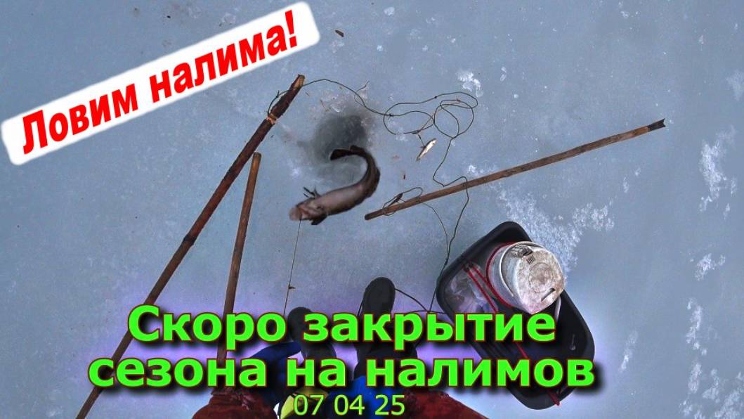 Скоро закрытие сезона на Налима смотреть онлайн