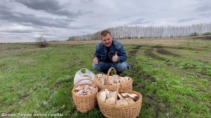Апрельская синеножка в невиданных количествах