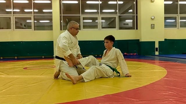1¦ Reiseinin ryu Aikijutsu 2024 ¦ wrestling in the stalls смотреть онлайн