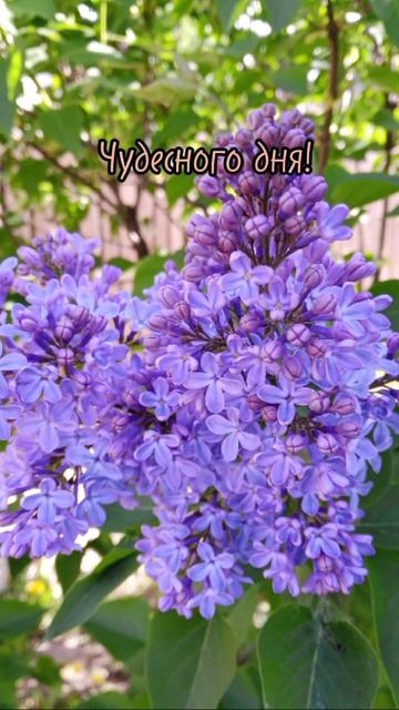 позитивчик смотреть онлайн