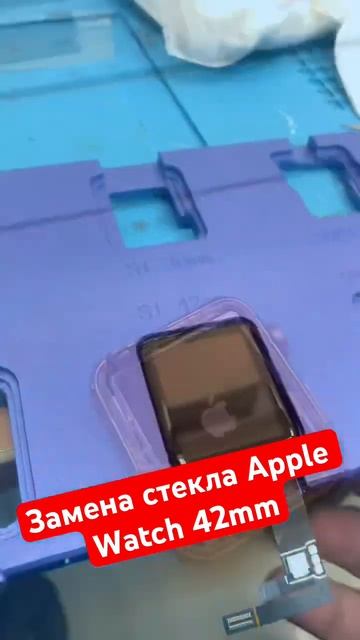 Замена стекла / тачскрина Apple Watch 42 #shortsvideo #shortvideo #apple #applerepair #repair смотреть онлайн