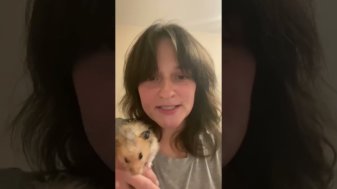 Отзыв о работе ратолога смотреть онлайн