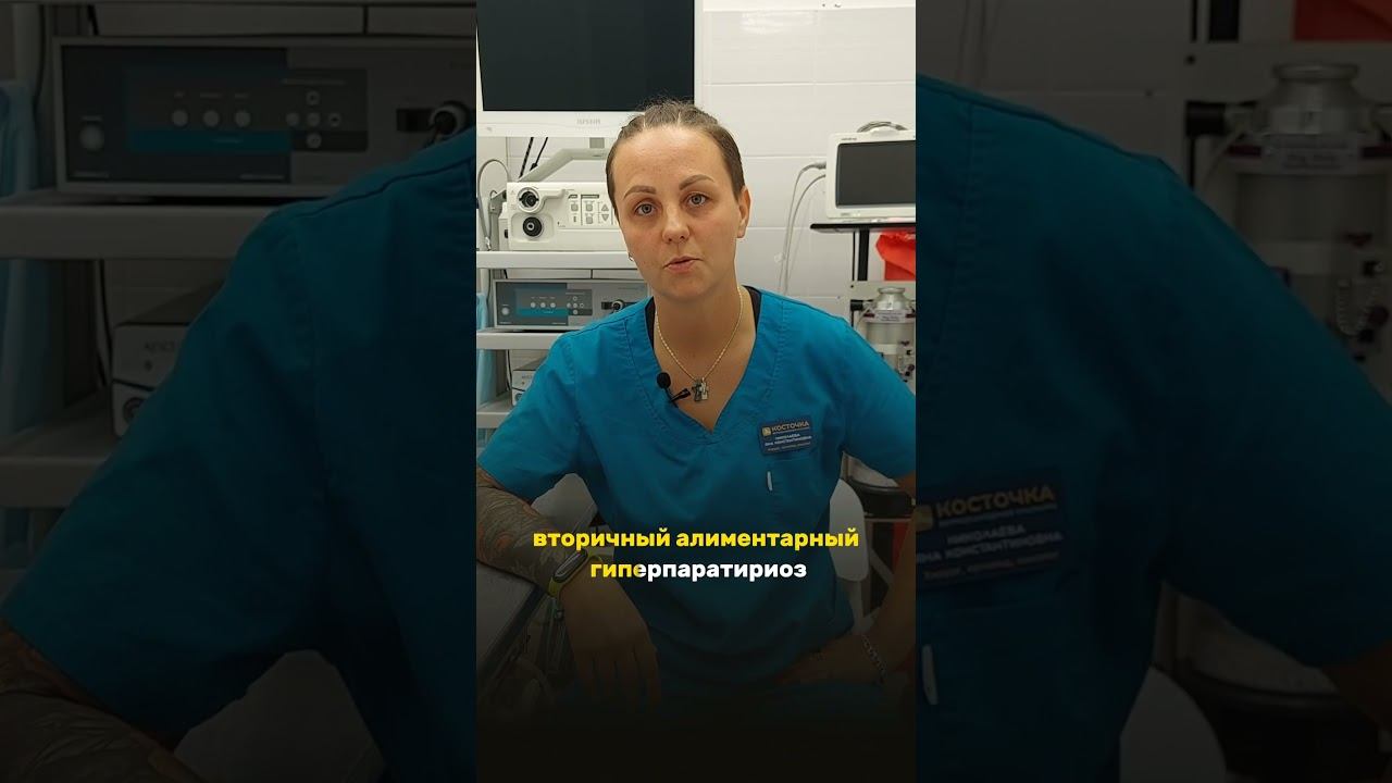 Ортопед про питание #ветеринар #ветклиникакосточка #ветеринарнаяклиника смотреть онлайн