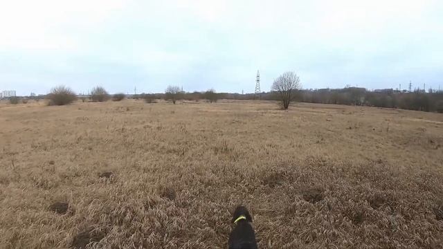 Охотничьи просторы смотреть онлайн