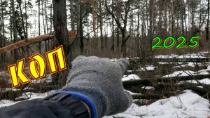 По лесным завалам и зарослям с Skycruiser S63.