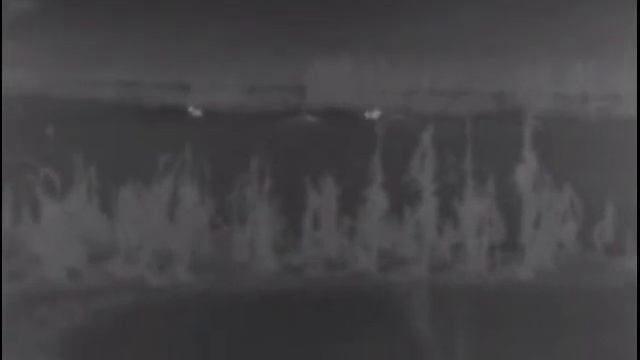 Русаки на поле. смотреть онлайн