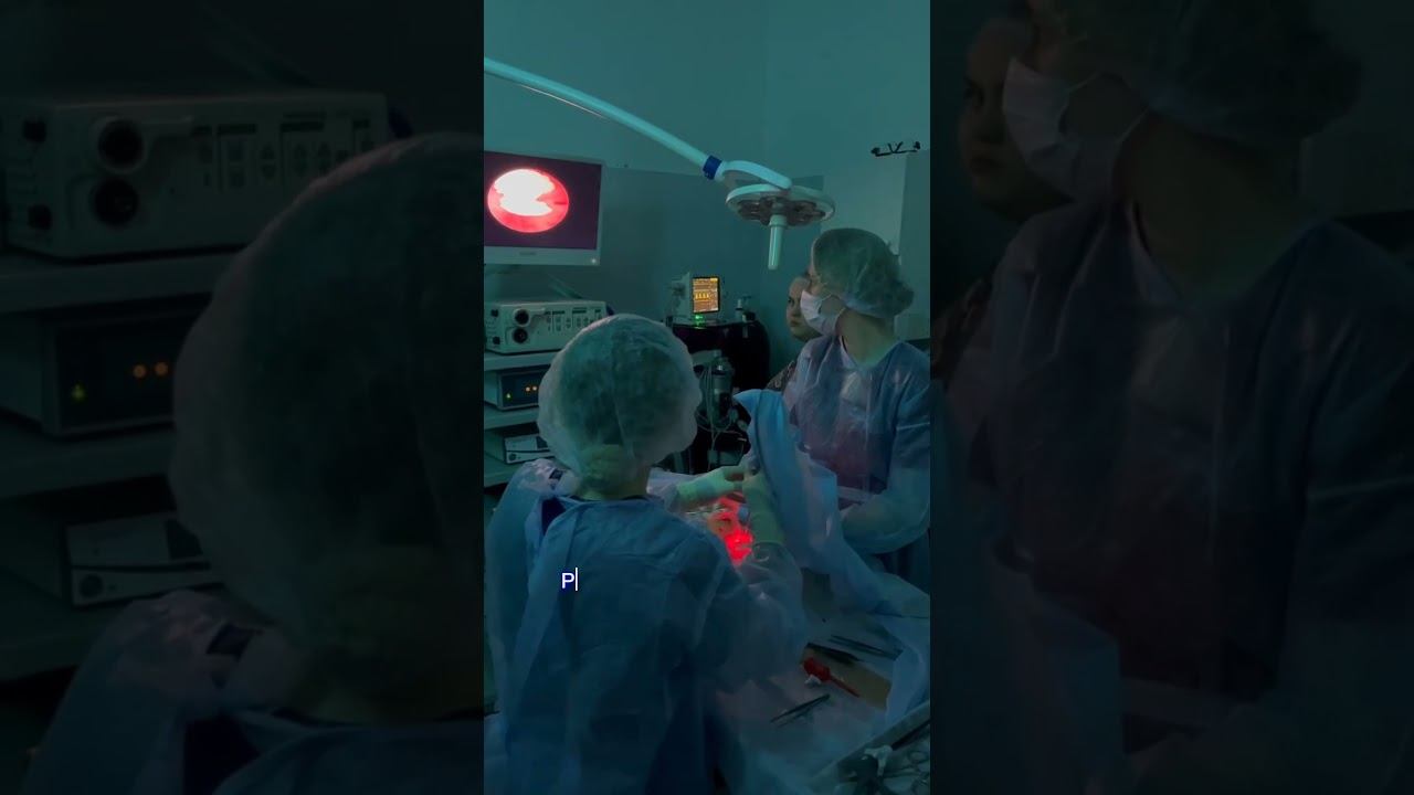 Как лечить камни в мочевом у кошек? смотреть онлайн