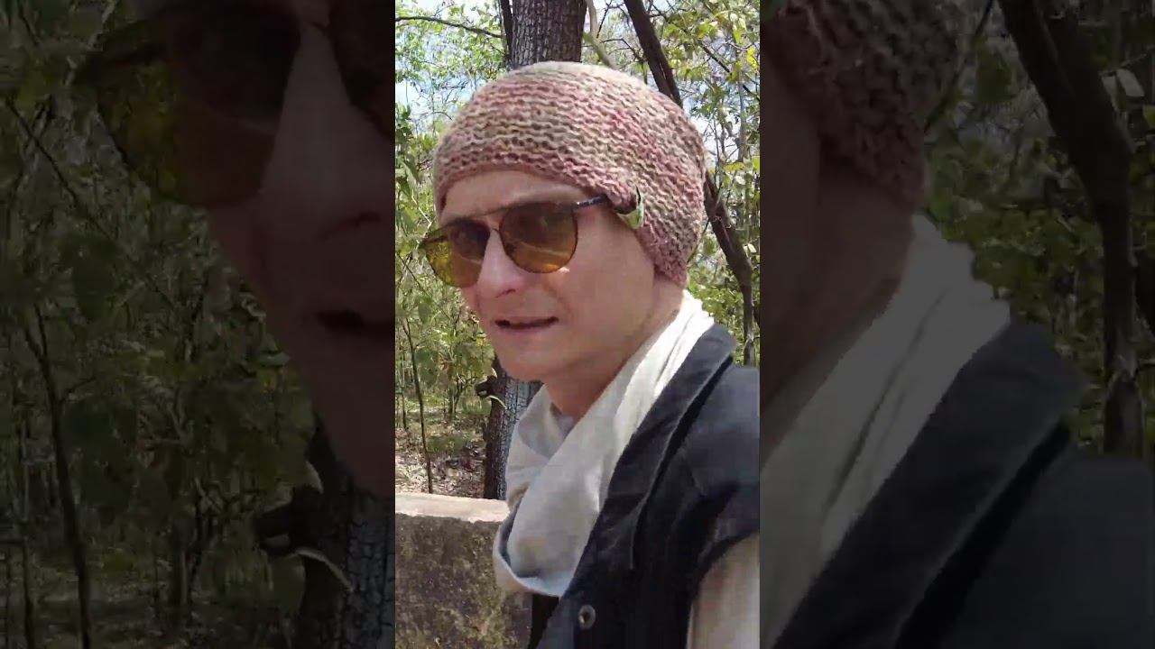 На пути встретили заповедник с дикими животными. #летаемсворобьями #nature #travel #vlog #блогер