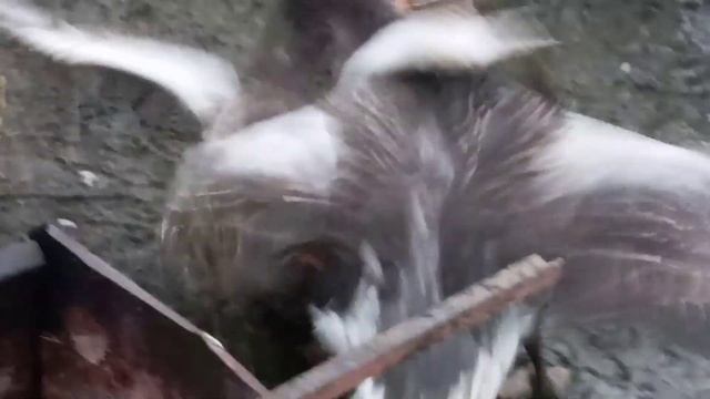 27 октября 2022 г. смотреть онлайн