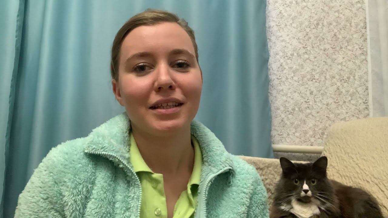 Санация ротовой полости смотреть онлайн