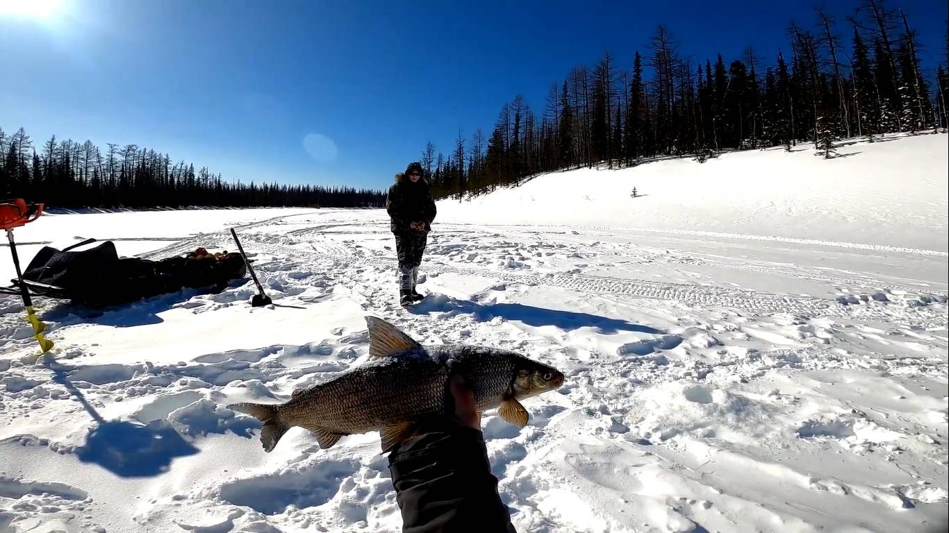 Ещё один выезд на рыбалку за хариусом в 2023 году. День первый. смотреть онлайн