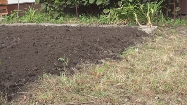 Подровнял участок землей от выкопанного септика// Пересадил смородину и цветы от входа в дом. смотреть онлайн