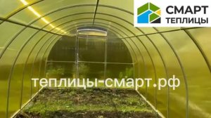 Арочная теплица из цветногого поликарбоната