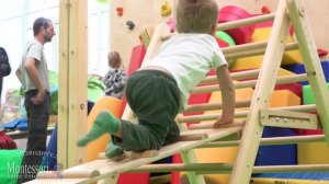 Треугольник Эмми Пиклер