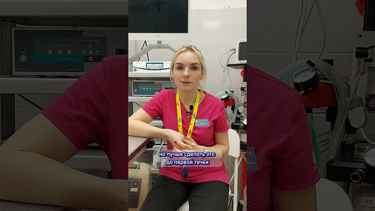 С какого возраста можно кастрировать собак? смотреть онлайн