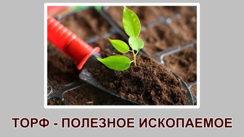 "Торф - полезное ископаемое" (4 класс, окружающий мир) смотреть онлайн