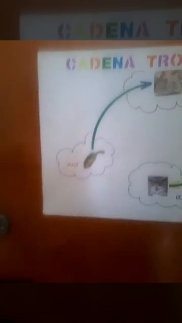 Cadena trofica смотреть онлайн