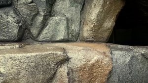 Как выглядят пропитанные камни после дождя.