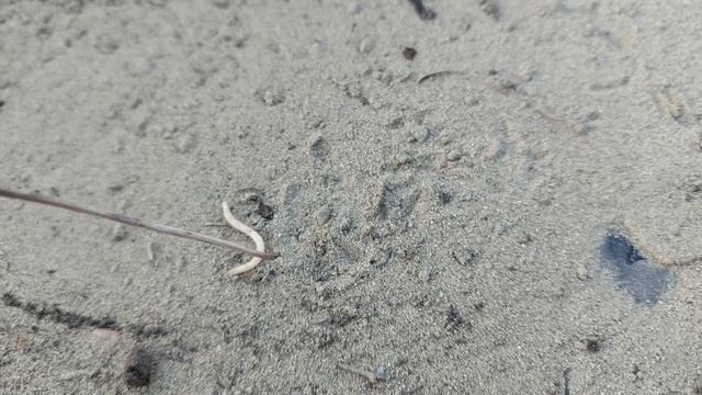 Кто это я не знаю, а вы? смотреть онлайн