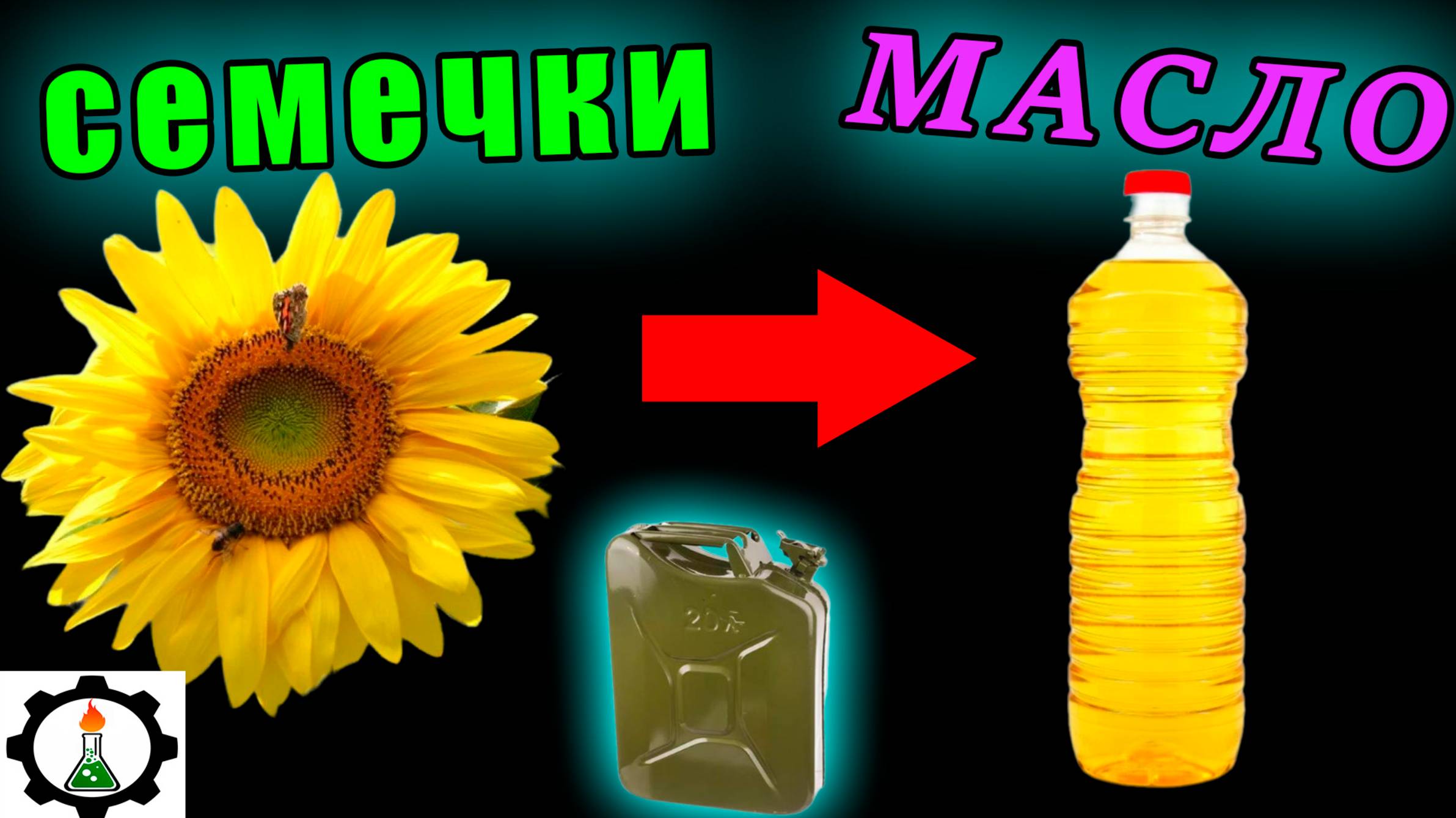 ☣️Как ХИМИКАТАМИ извлекают МАСЛО. (Экстрагирование масла растворителем) Рафинирование.