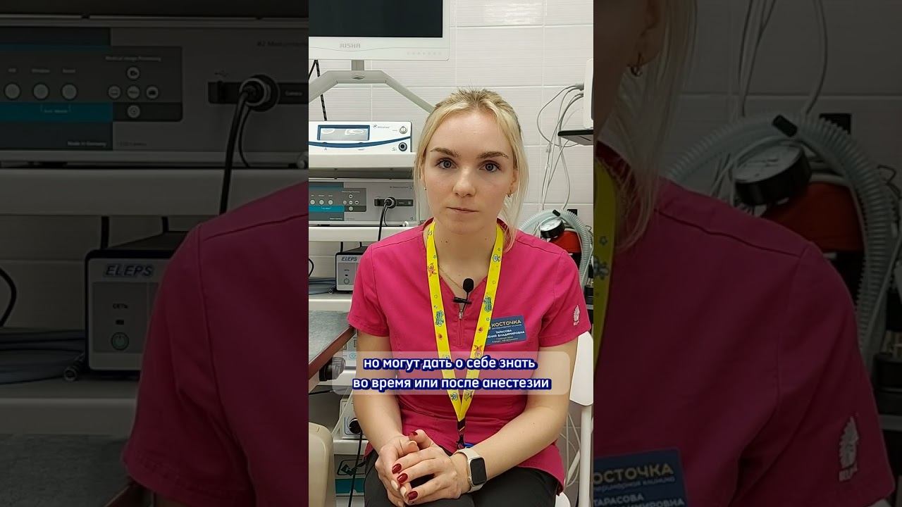 Как подготовить питомца к кастрации смотреть онлайн