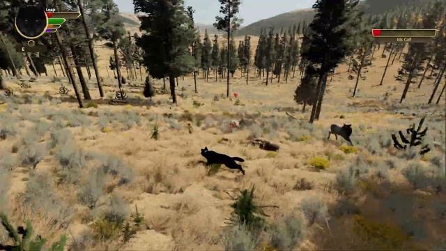 🐾 Little Leap 🐺 | WolfQuest 3 | Lost Little Leap #1 | The Rabbit And Its YouTube Channel смотреть онлайн